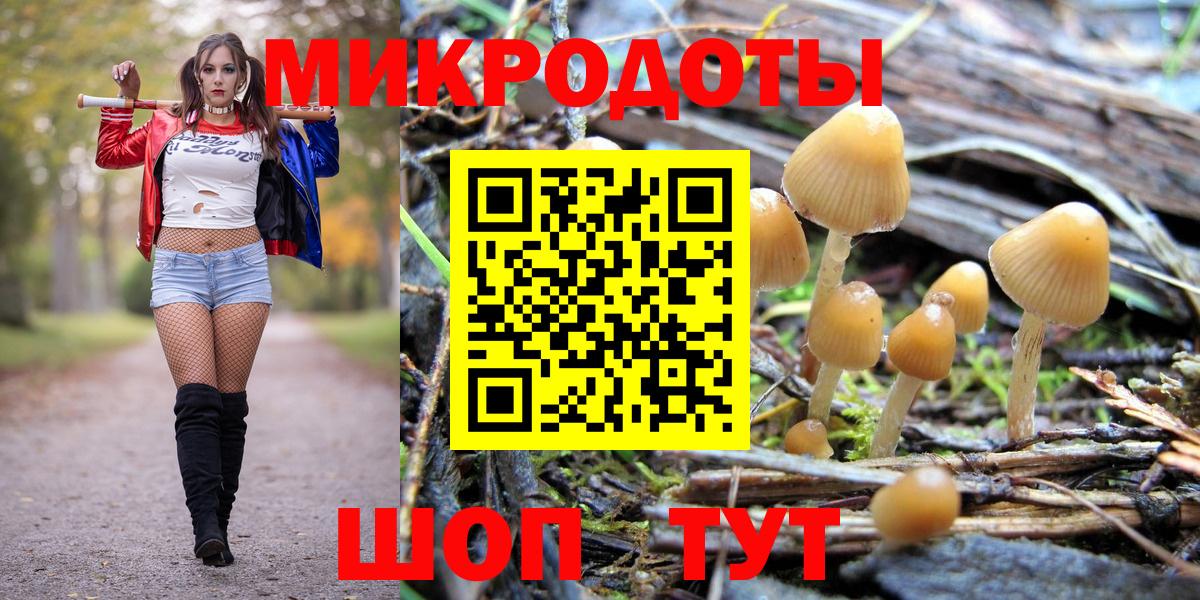 Галлюциногенные грибы GOLDEN TEACHER Бутурлиновка