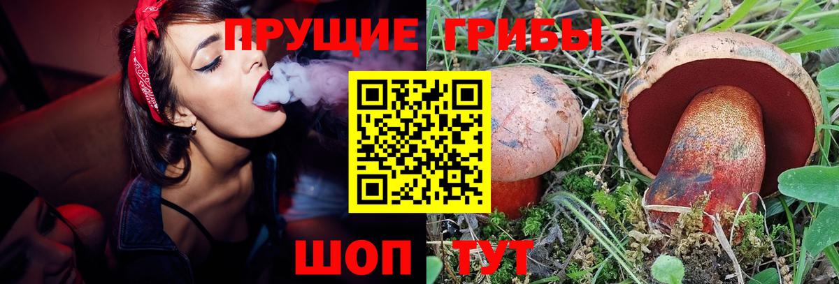Бутурлиновка  Галлюциногенные грибы ЛСД  Вход с VPN 